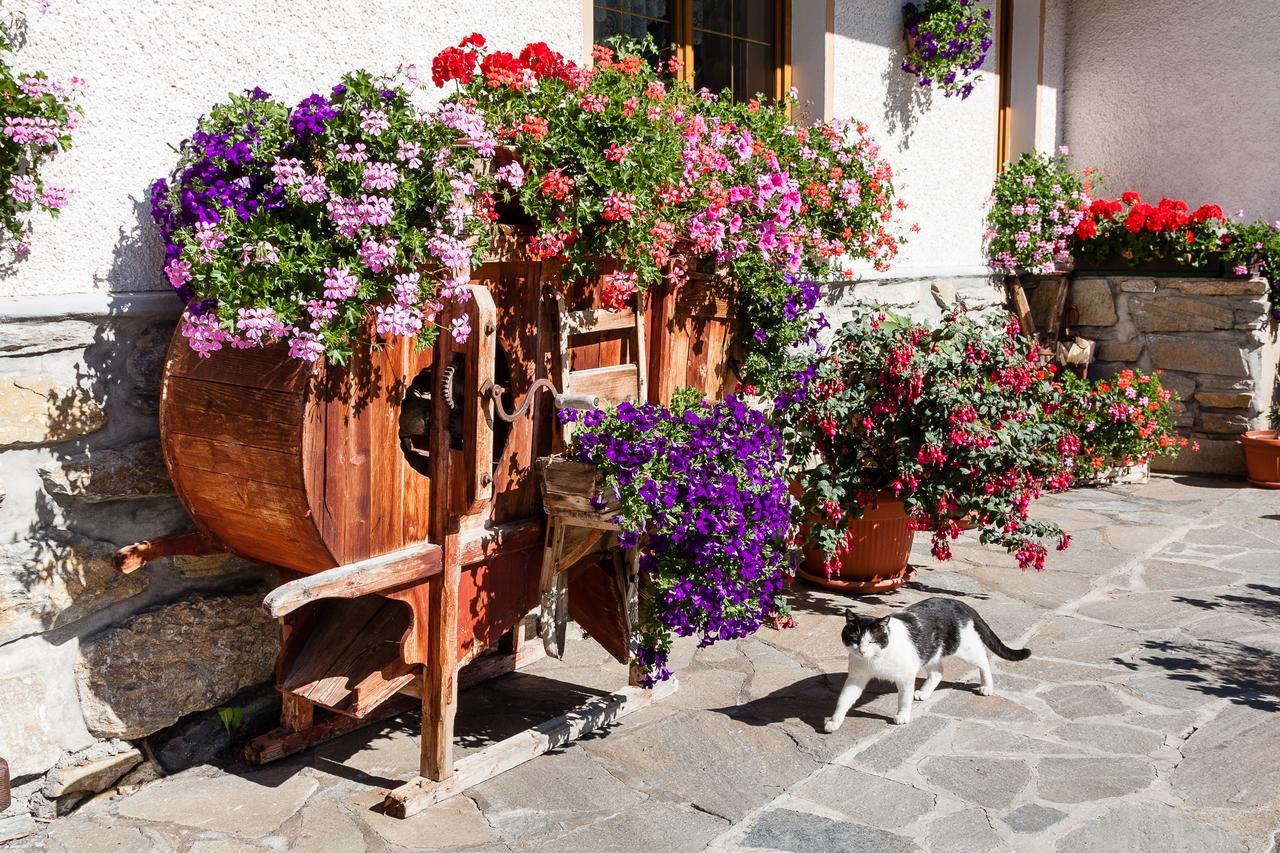 Graushof Hotel Val di Vizze Luaran gambar